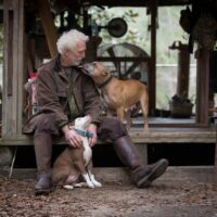 Are Pet Trusts Legal in California Are Pet Trusts Legal in California