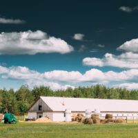 Farm Owners Sued for Half Moon Bay Shooting Farm Owners Sued for Half Moon Bay Shooting